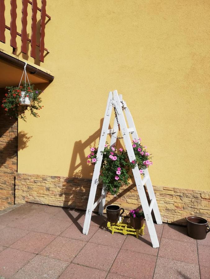 Apartament Nad Szumiacym Potokiem Wilkowice المظهر الخارجي الصورة